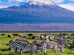 Amboseli